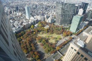 Handel uliczny po rewitalizacji – szanse i zagrożenia dla lokalnych przedsiębiorców